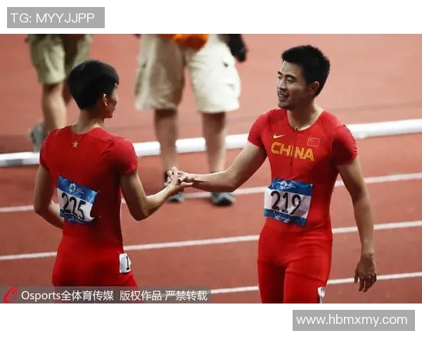 成都排球队在钻石联赛中的实力展现与未来发展潜力分析